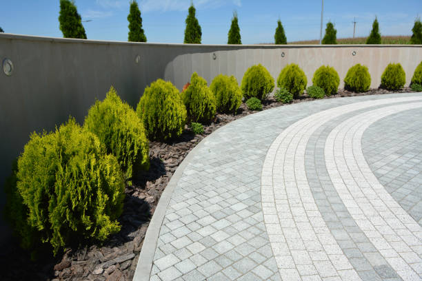 Best Driveway Paving Near Me  in Murillo, TX
