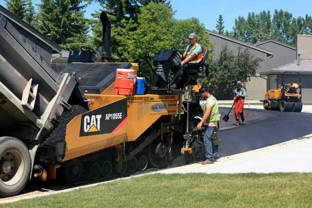 Best Interlocking Driveway Pavers  in Murillo, TX